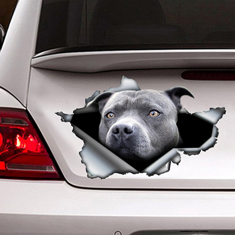 Blue Pitbull Car Sticker Torn Metal Decal Reflective Sticker Waterproof Car Styling Pet Auto Motorcycles Decoration,13cm x 7.8cm